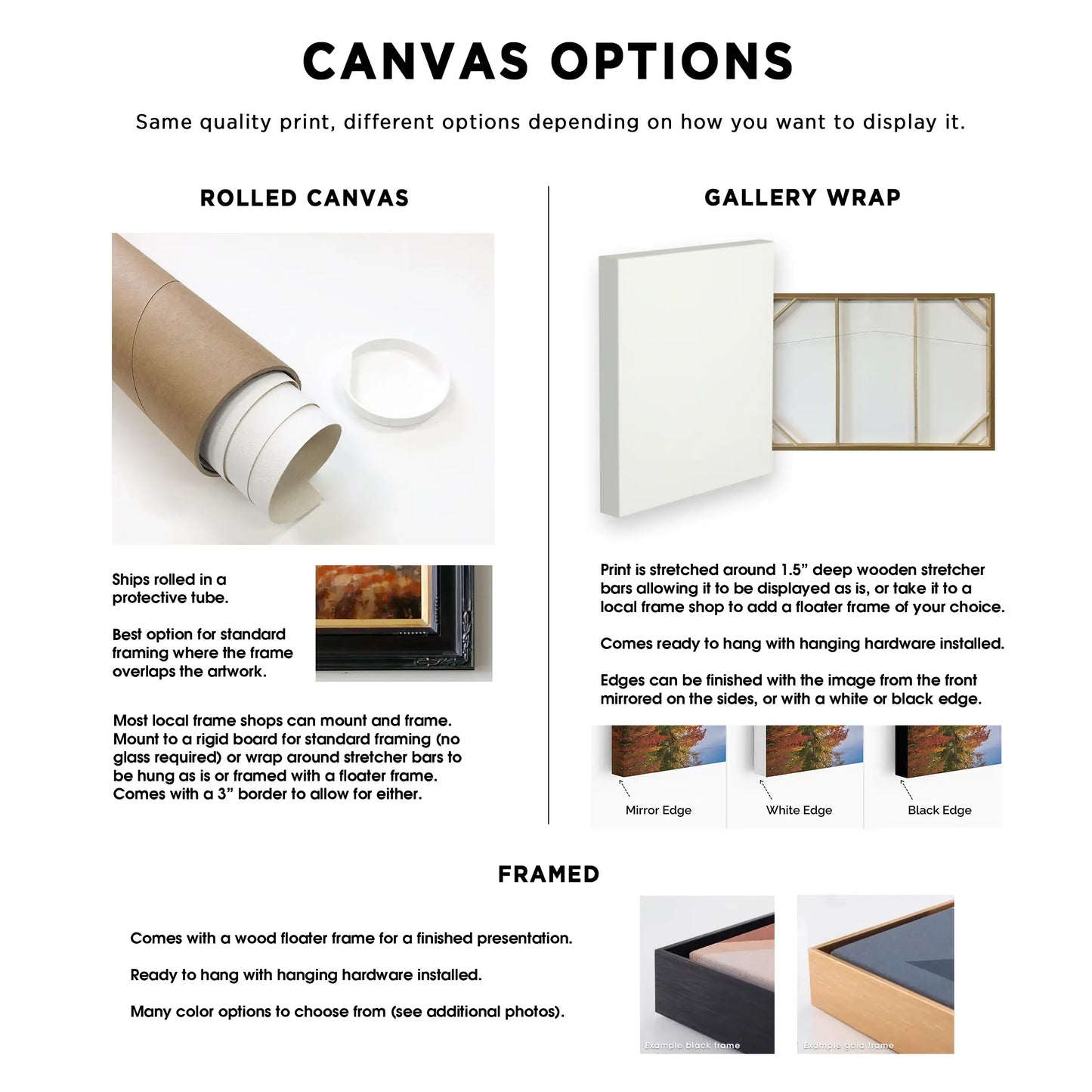 Canvas display options with rolled canvas and gallery wrap descriptions.