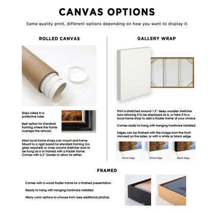 Canvas display options with rolled canvas and gallery wrap descriptions.