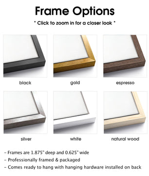 Frame color options available with framed canvas print wall art