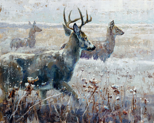 White Tails in Winter