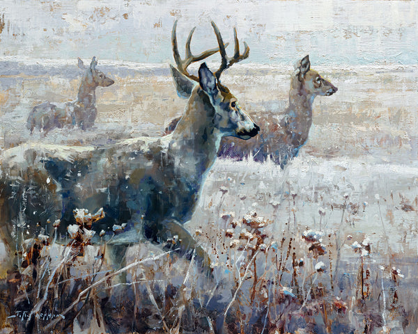 White Tails in Winter