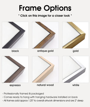 Frame color options for canvas prints