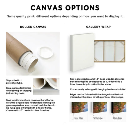 Canvas display options with rolled canvas and gallery wrap descriptions.