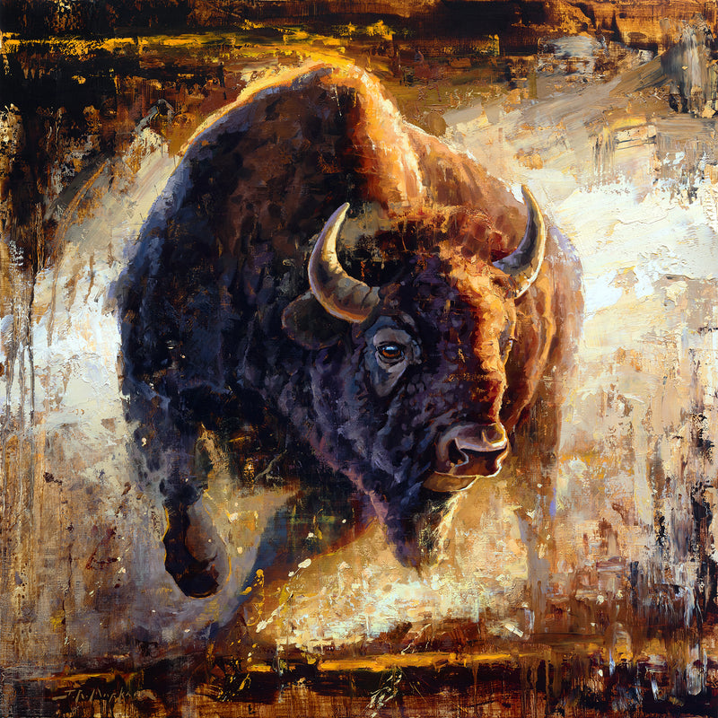 Original oil painting of a buffalo kicking up dust by Jerry Markham artist - Dust Devil - 36x36