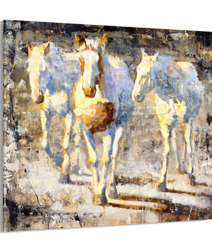Giclee canvas print available of 3 white horses