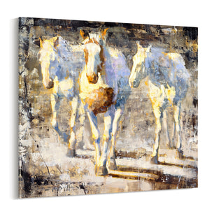 Giclee canvas print available of 3 white horses