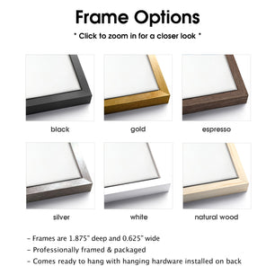 Frame color options available with framed canvas print wall art