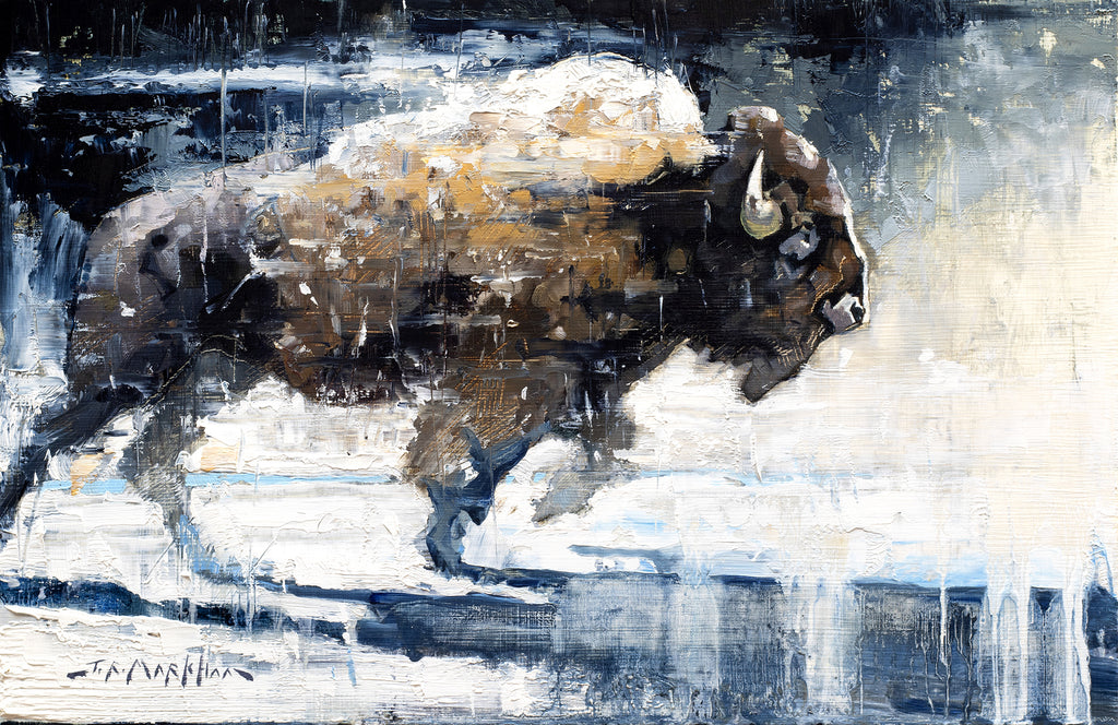 Winter Buffalo