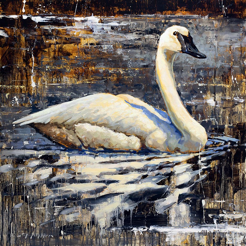 Natural Beauty swan painting by Jerry Markham artist